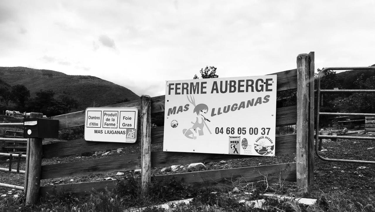 Bed & Breakfast Mas Lluganas
