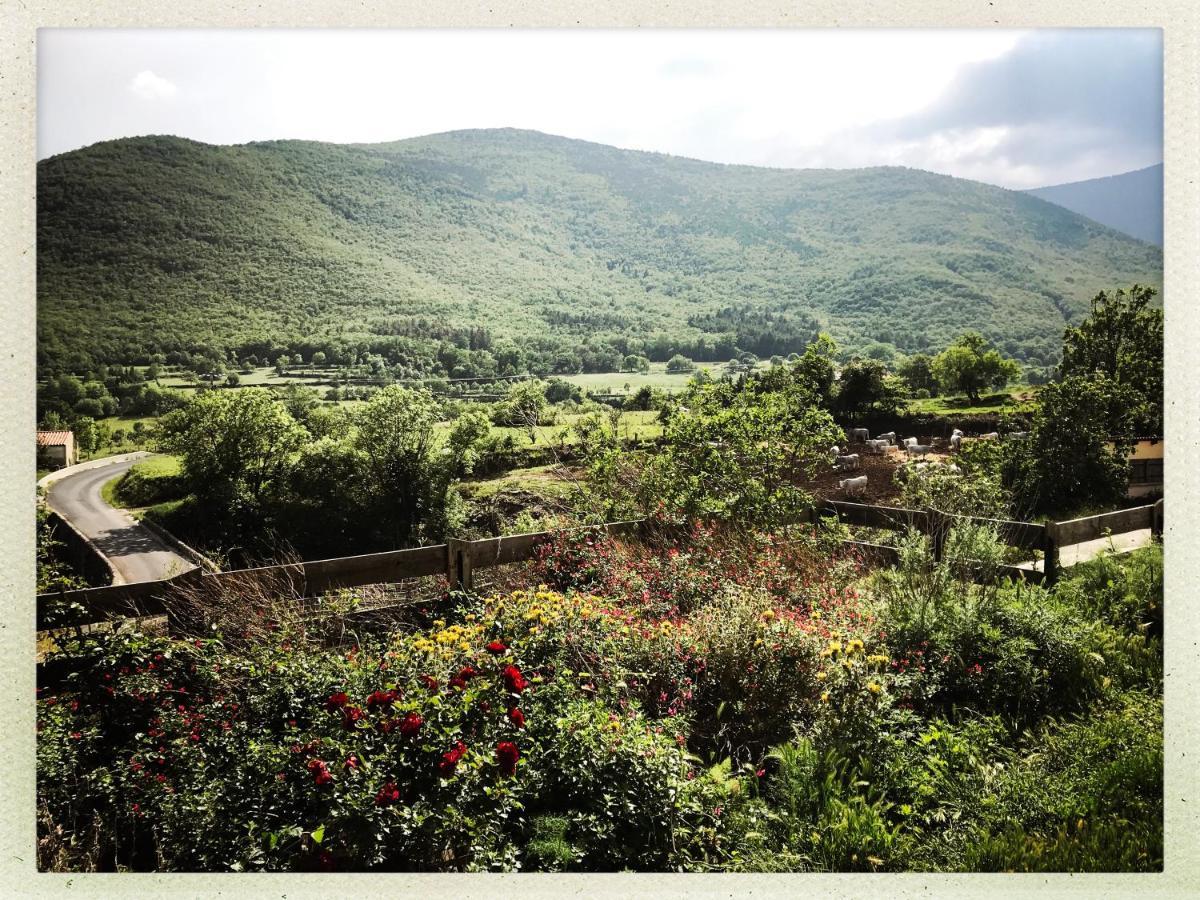 Mas Lluganas Bed & Breakfast